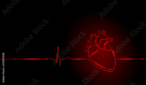 Single continuous line art anatomical human heart silhouette. Healthy medicine concept design neon glow red one sketch outline drawing vector illustration