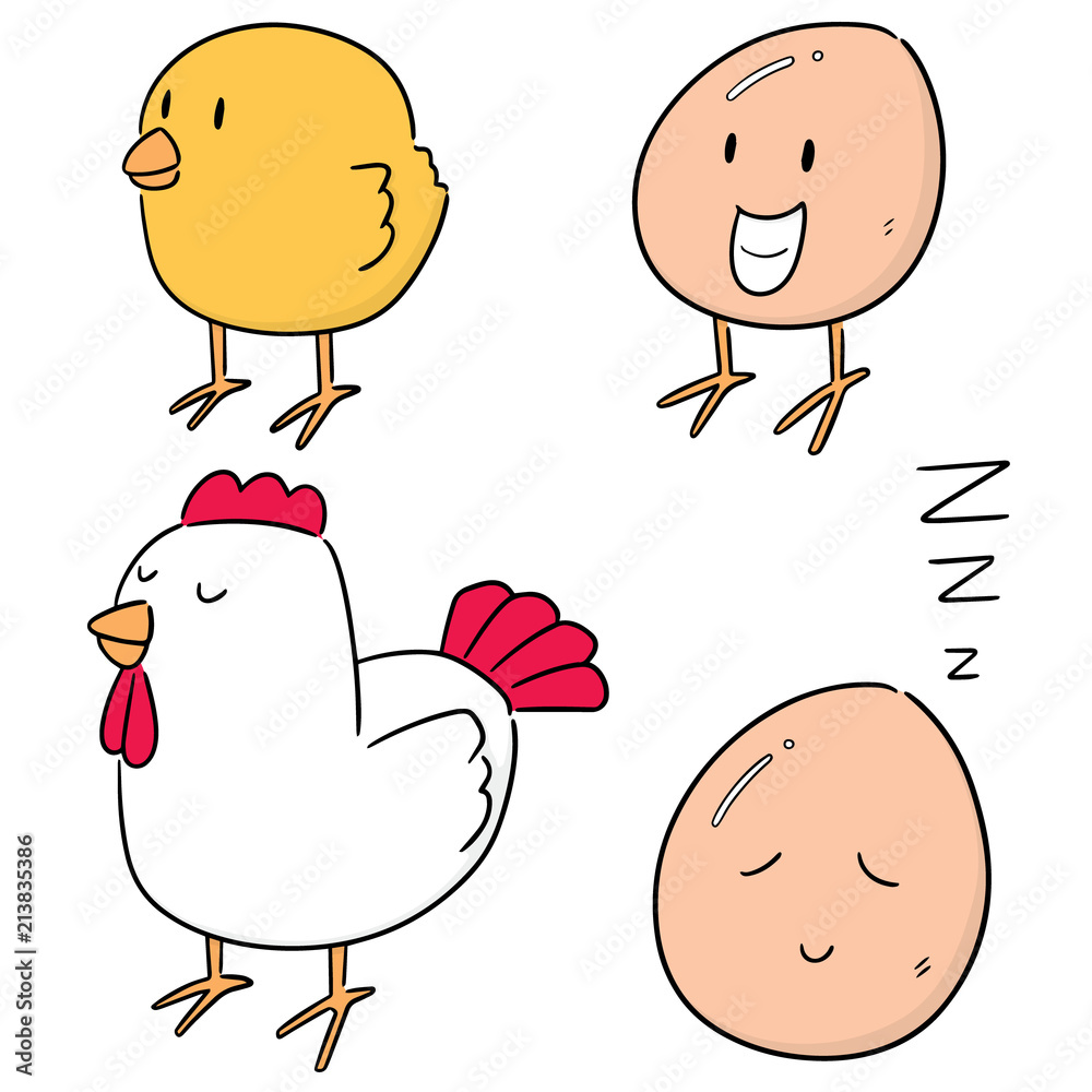 vector set of chicken and egg vector set of chicken and egg