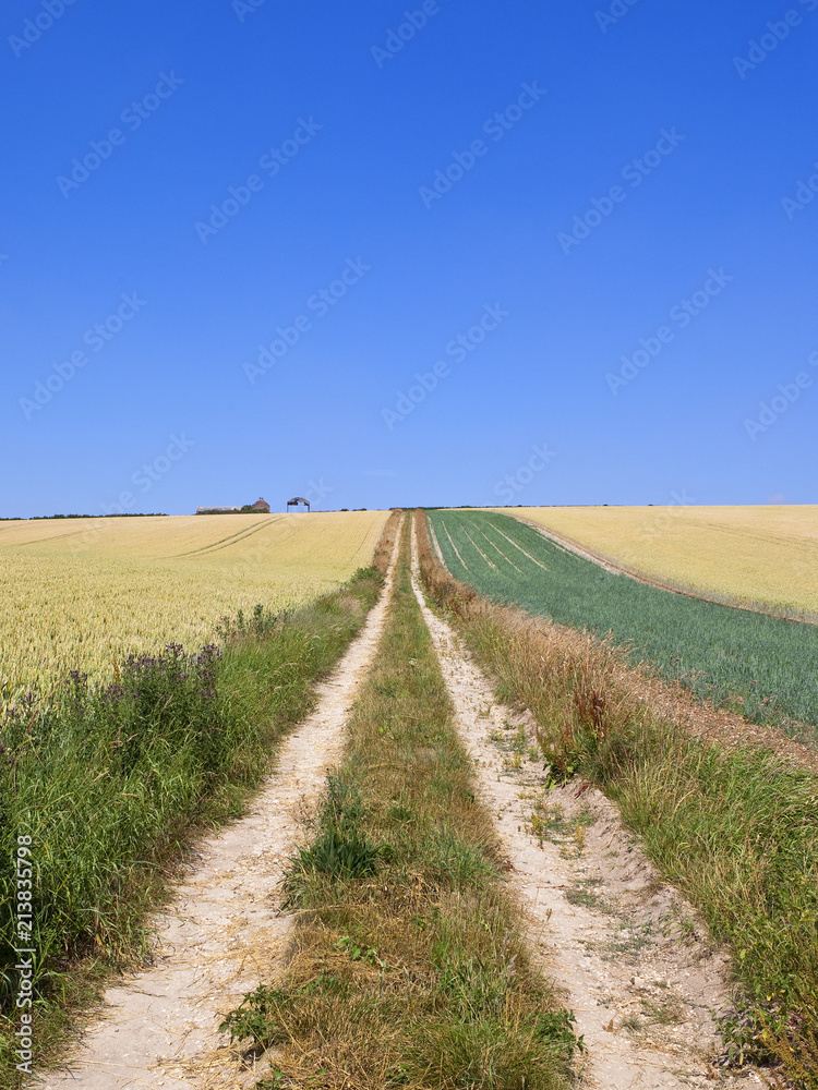 farm track perspective farm track perspective