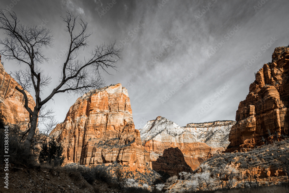 Zion