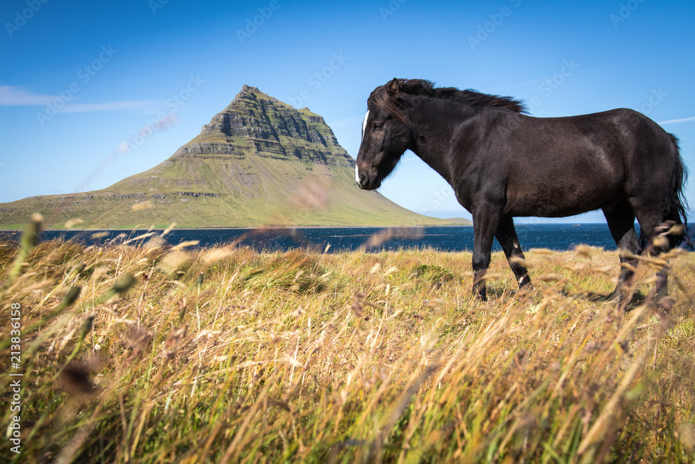 Kirkjufell