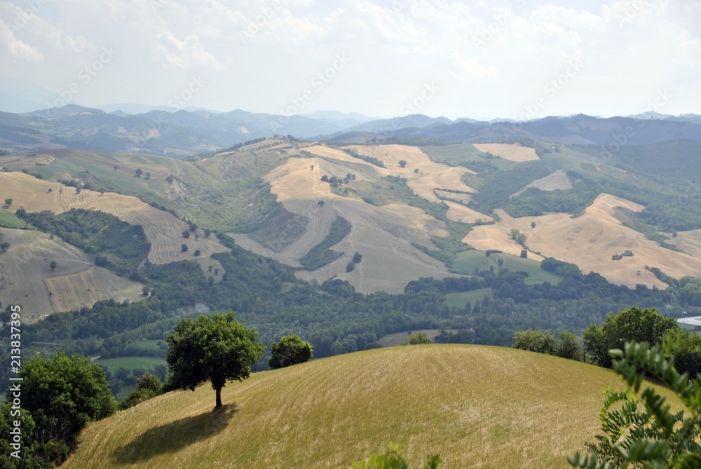  italian green countryside