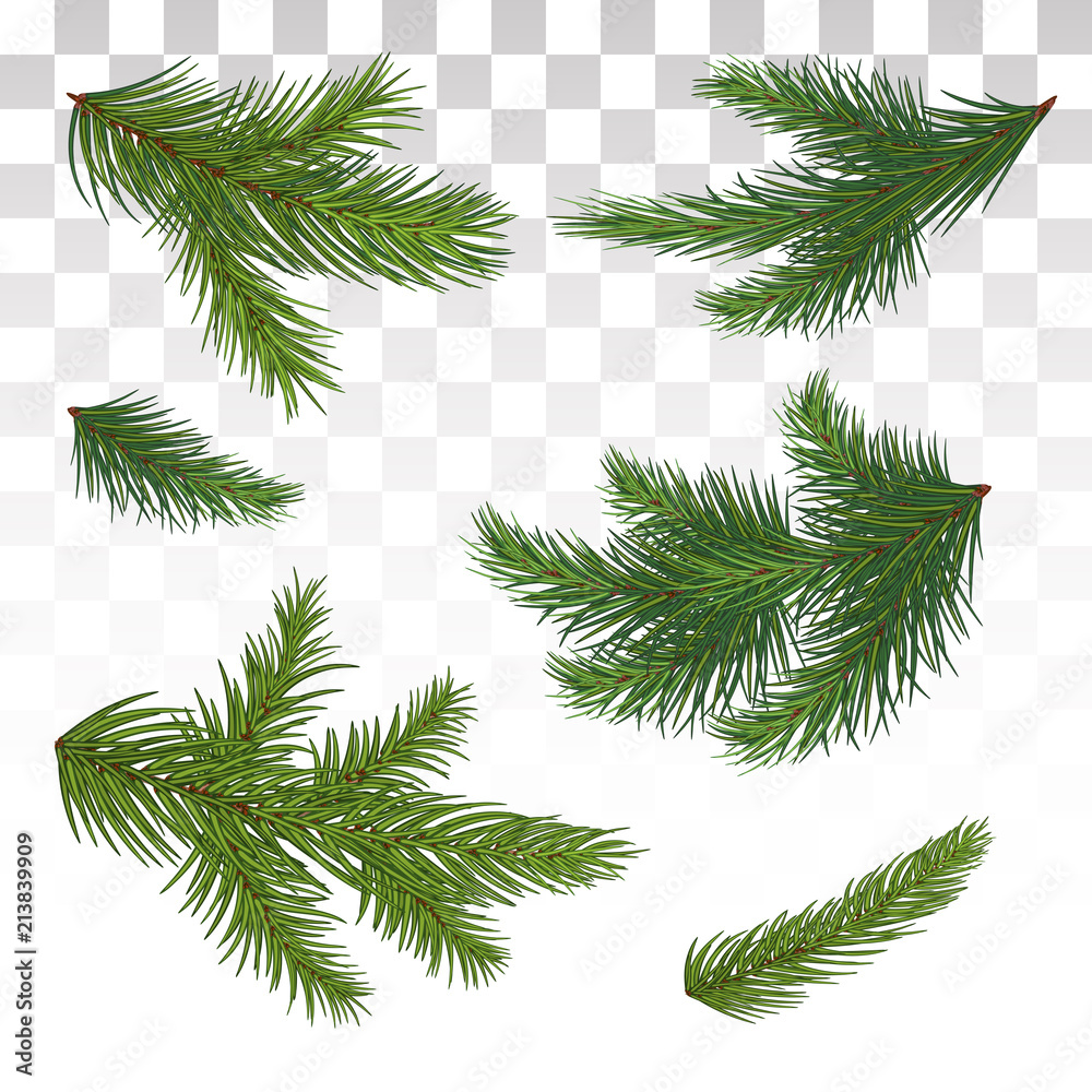 Set of green pine branches. Isolated. Christmas. Decor. The Christmas tree.  Vector illustration. Eps 10. Stock Vector