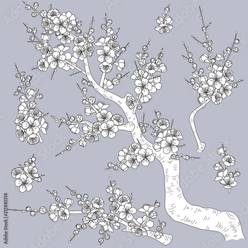 Monochrome Plum Blossom Branches