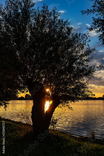 During beautiful sunset in lake Zoetermeerse plas, the sun is reflected in the water through the branches of a willow
