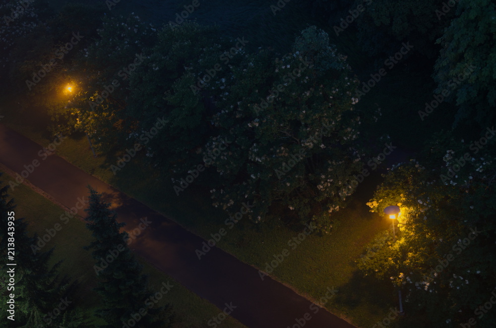 Fototapeta premium Foggy night, street lamp