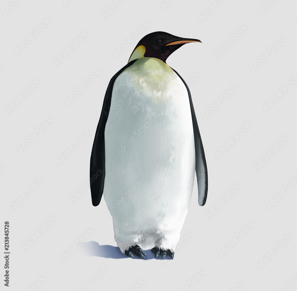 Fototapeta premium Pingwin na białym tle