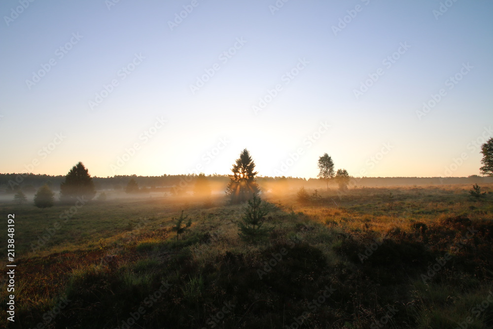Sonnenaufgang im Morgennebel in der Lüneburger Heide
