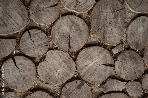 Round wooden stumps pattern. Sliced sections from tree, background texture. Top view, closeup