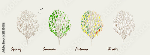 One tree - four season. Spring, summer, autumn, winter. Conceptual vector illustration.