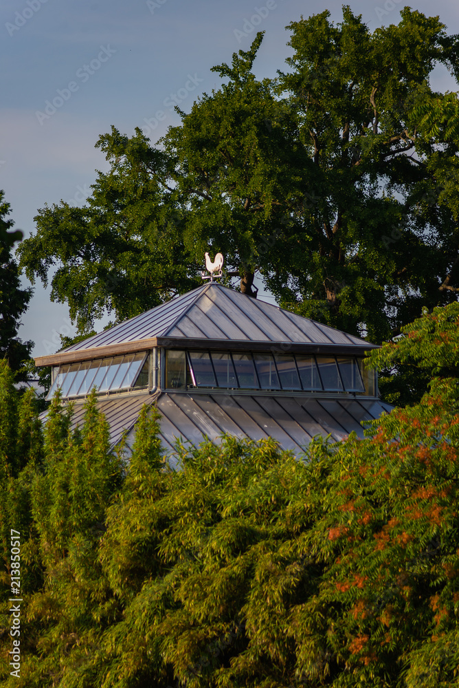 Glass roofs of the Botanic garden in the center of the Leiden