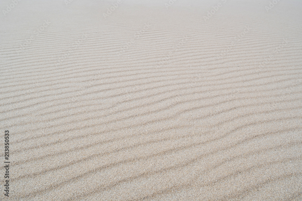 Obraz premium sandy beach for background use