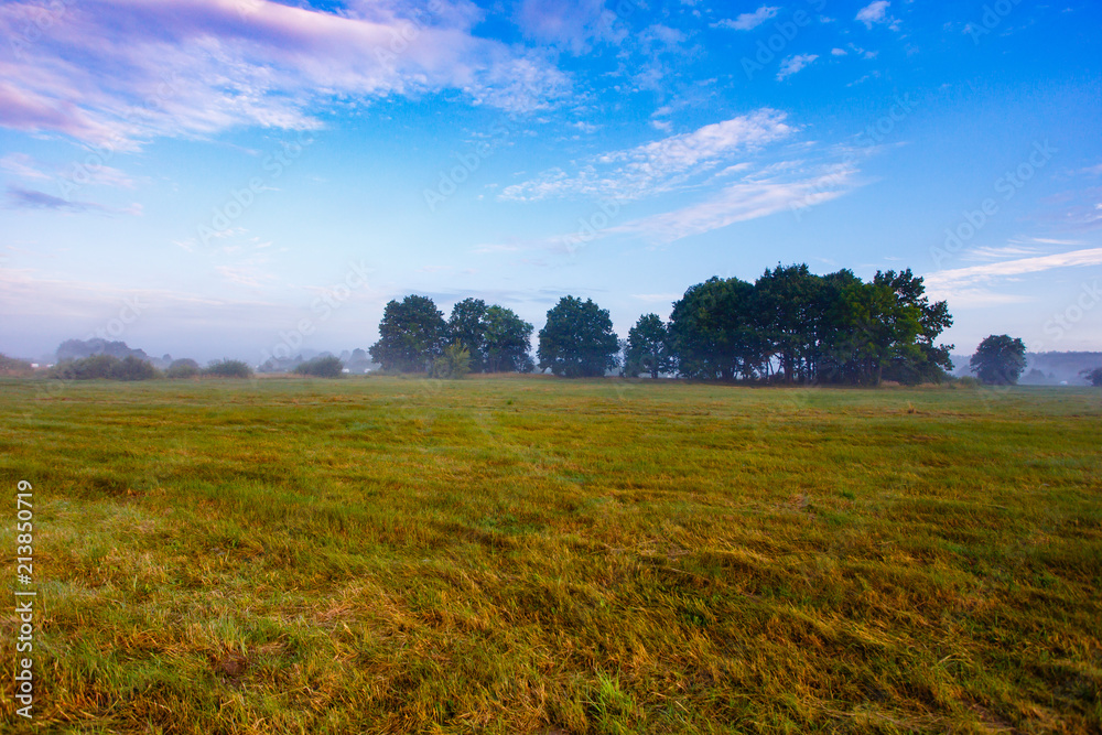 Rural field with green trees in the background Rural field with green trees in the background