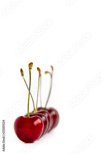 ripe cherries are lined up, one after the other. One cherry in focus on white background photo