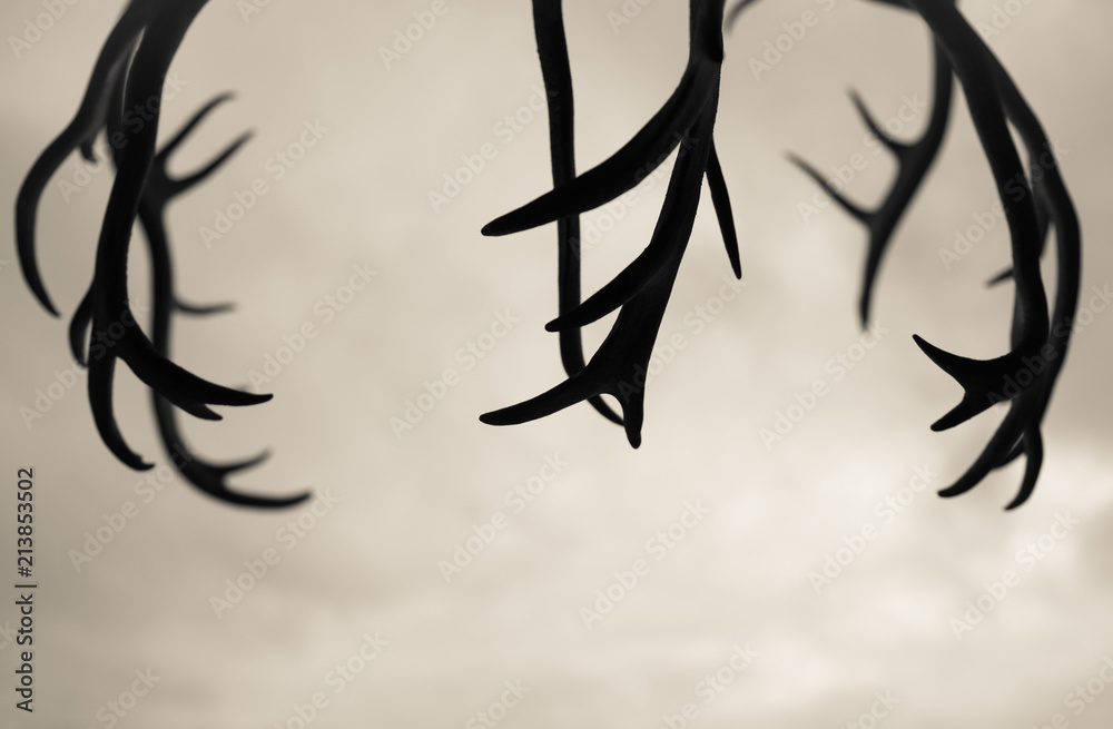 Antlers