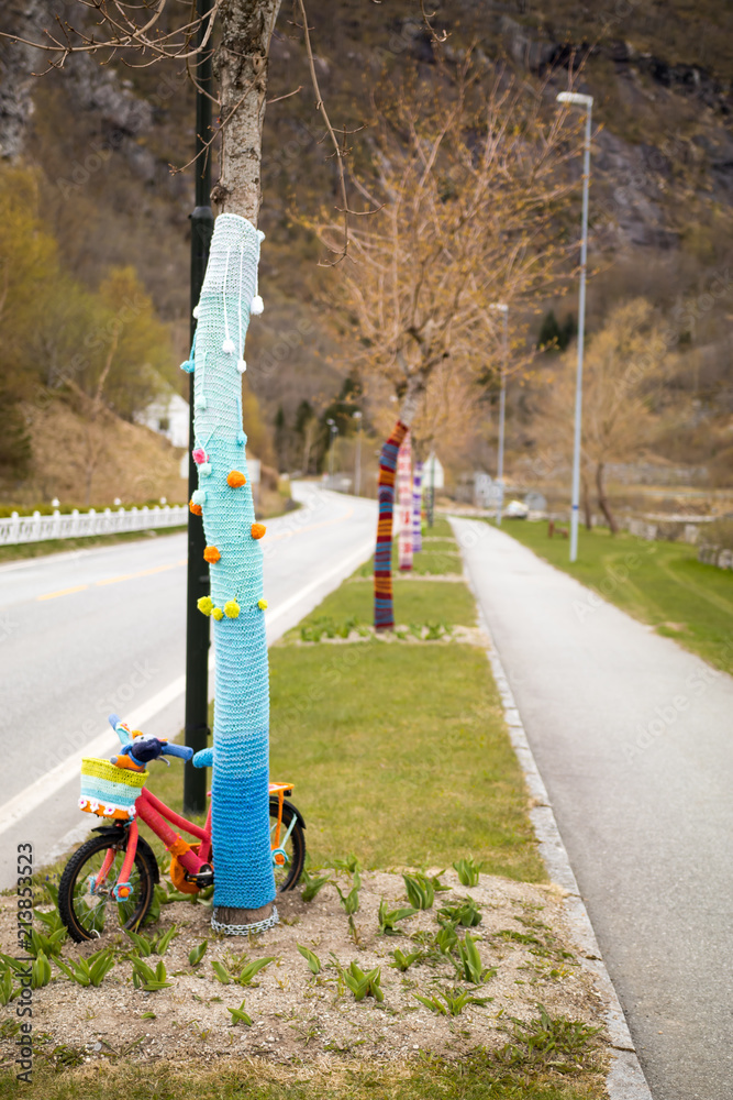 Wool bike