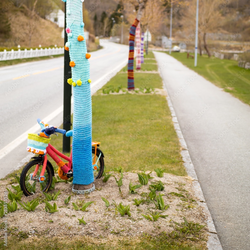 Wool bike