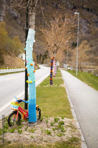 Obraz na płótnie Wool bike w salonie