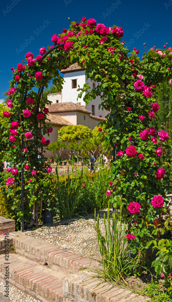 Gate made of red roses in the park of Generalife, Granada, Spain