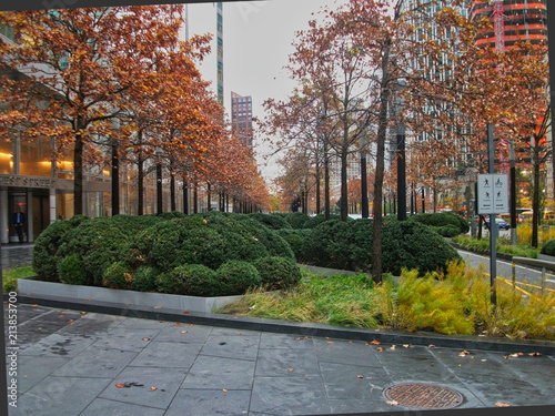 a park in new york at autumn