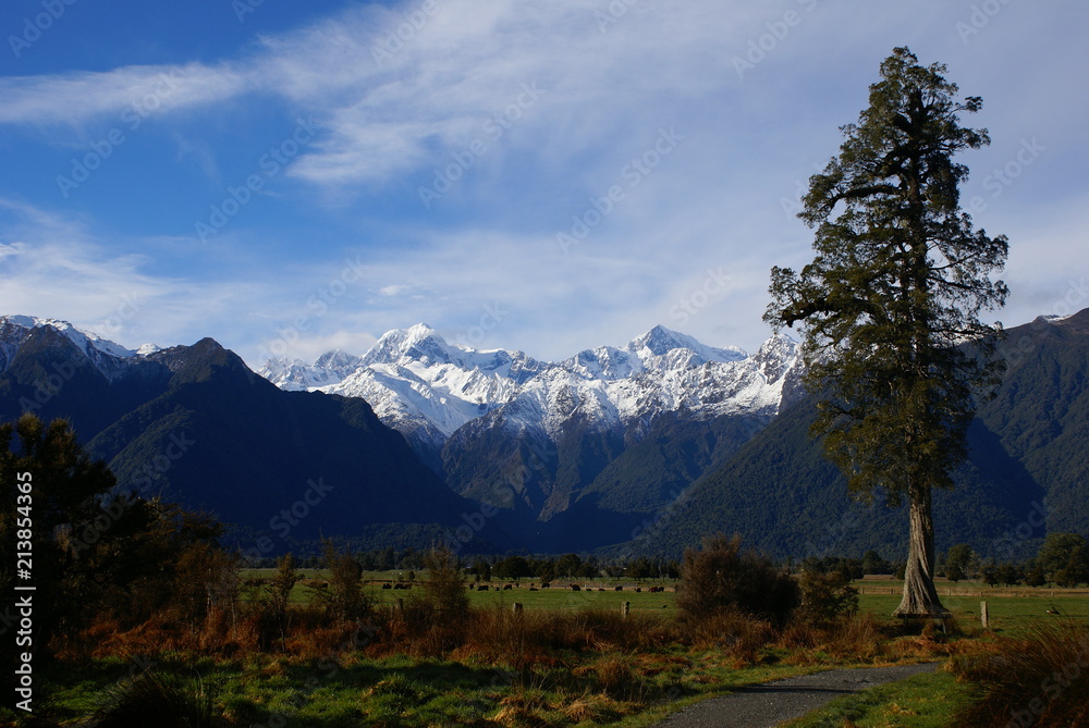 new zealand