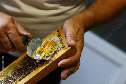 Beekeeper uncapping honeycomb with special beekeeping fork. Raw honey being harvested from bee hives. Beekeeping concept photo