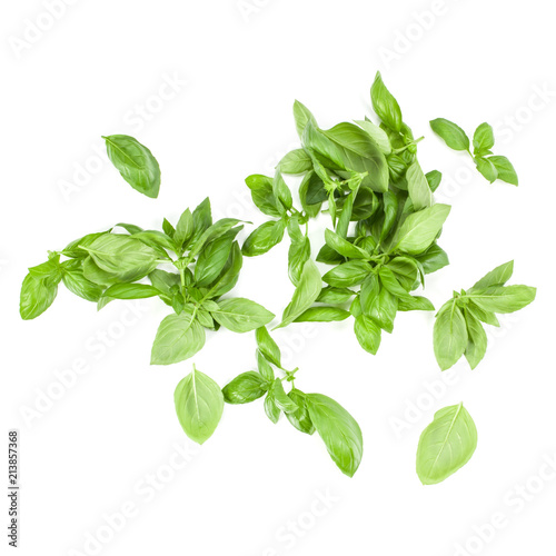 Sweet Genovese basil leaves background arrangement isolated on white. Top view.