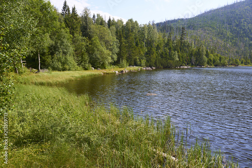 Plesne lake in Sumava national park (Bohemian Forest) in Czech republic photo