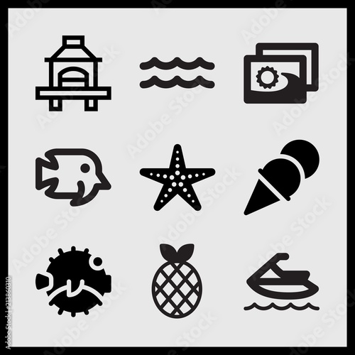 Simple 9 set of Summer related sea waves, two pictures, pineapple with leeves and barbecue vector icons photo