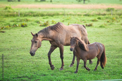 mother and baby