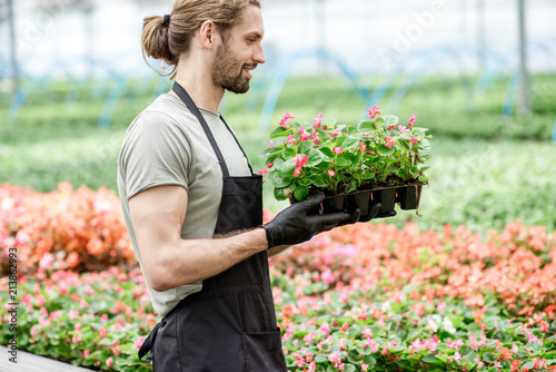 Portrait of a handsome worker of the plant farm holding flowers in the greenhouse