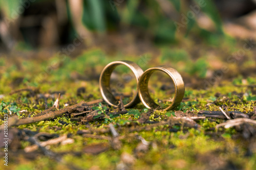 Two gold wedding rings in a muddy forest 