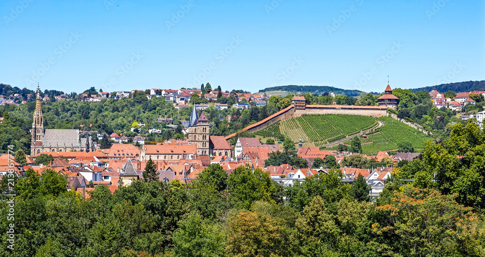 Esslingen am Neckar Panorama mit Burg