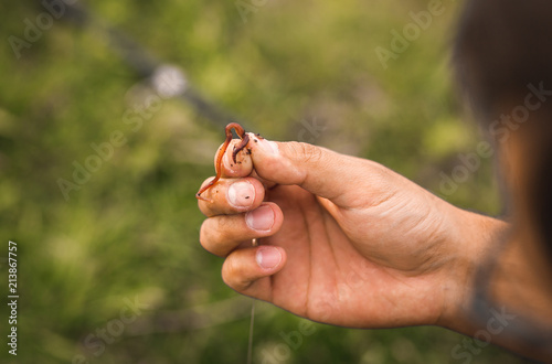 fishing hook with earthworm in male hands   © Olya Komarova