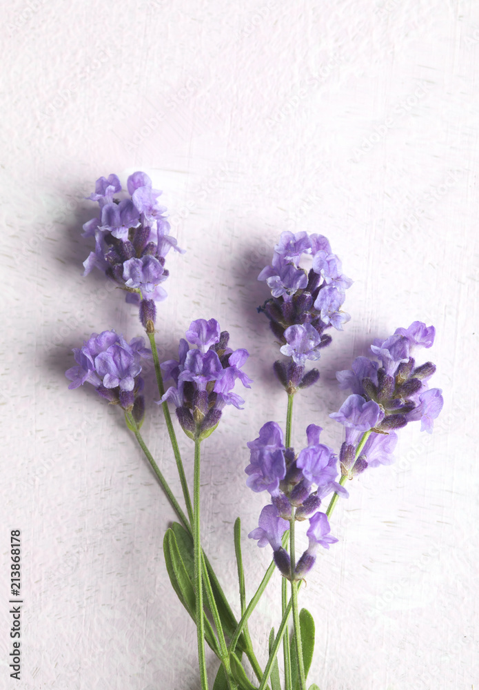 Fototapeta premium Fresh lavender flowers frame on pink background.