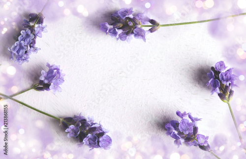 Fototapeta Naklejka Na Ścianę i Meble -  Fresh lavender flowers frame on pink background,