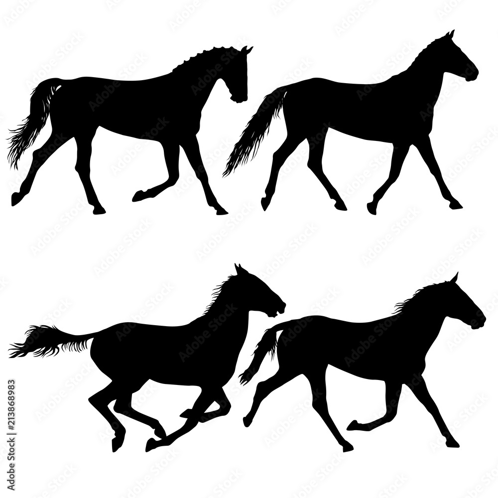 Set animal silhouette of black mustang horse illustration Set animal silhouette of black mustang horse illustration