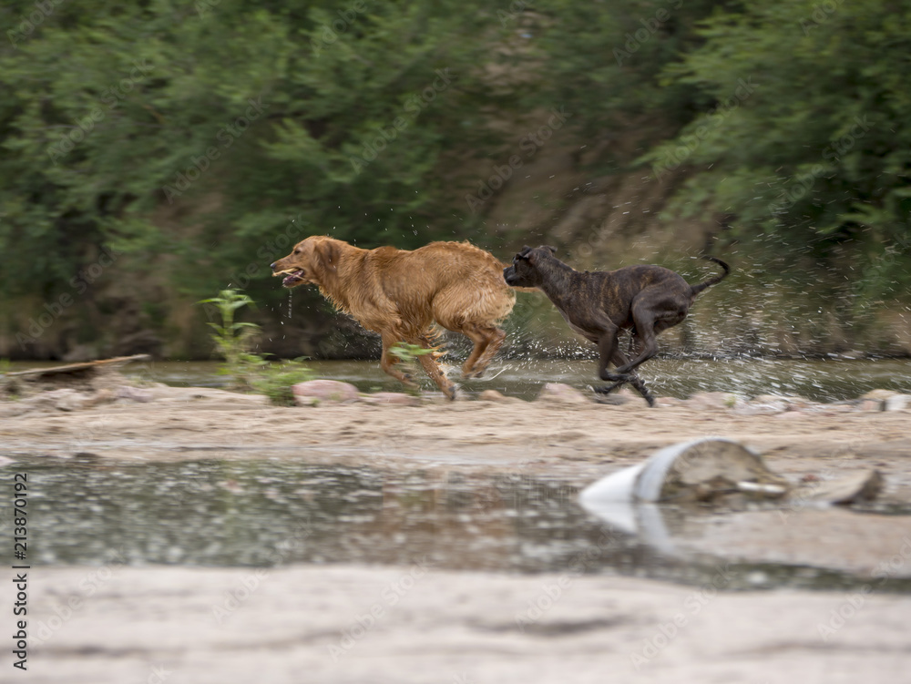 run run