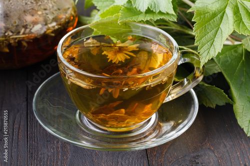 Cup of herbal tea with fresh herbs