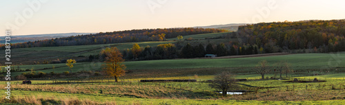 Country Side