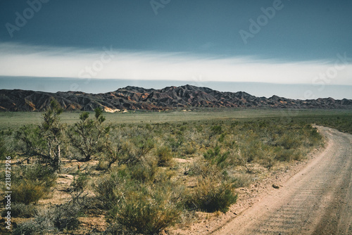 Highway street empty with green Kazakhstan Steppe view