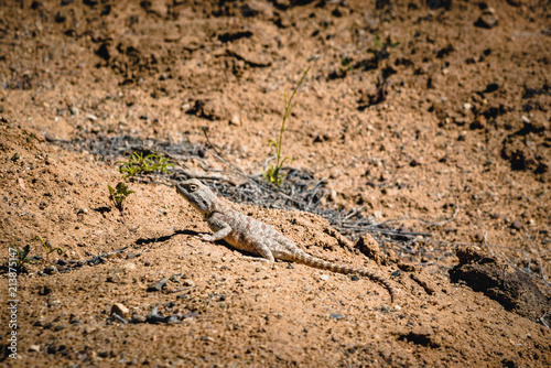 Takyr in Aktau white mountains in Altyn-Emel National Park  Kazakhstan