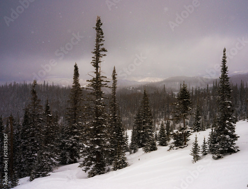 Snowfall and pine trees on the alpine mountainside; Brian Head, UT