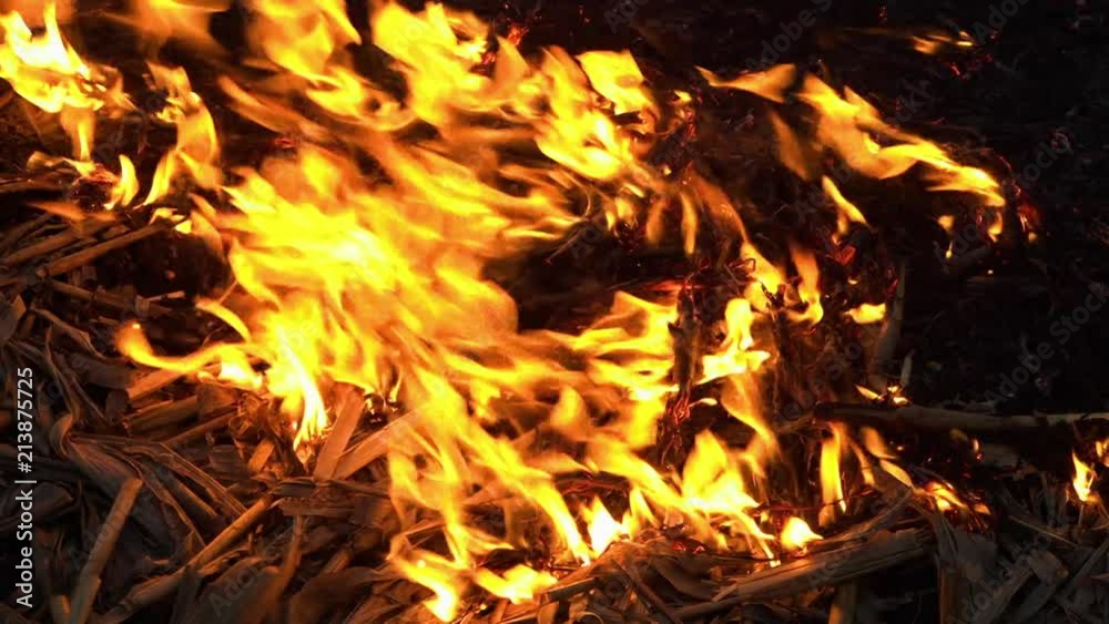 A shot of a wildfire happening on a landscape. A shot of a wildfire happening on a landscape.