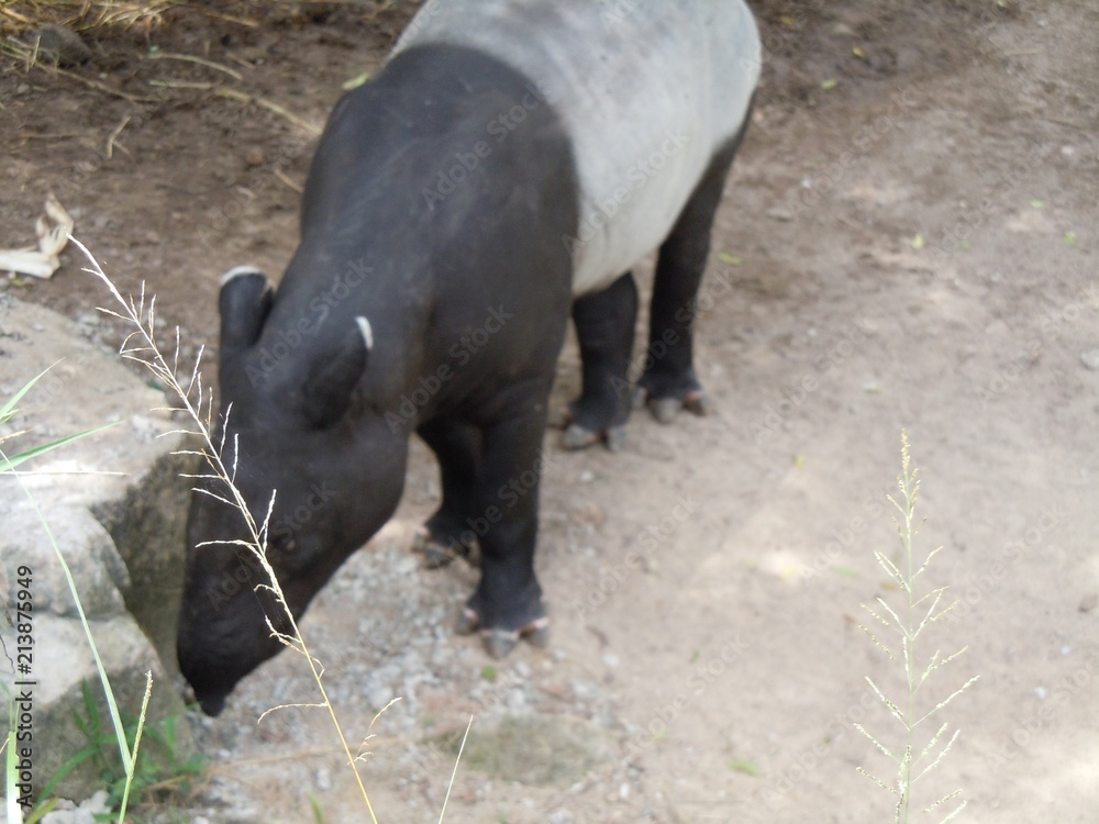 Fototapeta premium Bwr7e1xyN7v9W1m3