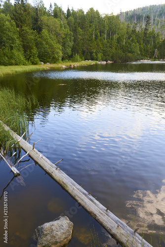 Plesne lake in Sumava national park (Bohemian Forest) in Czech republic photo