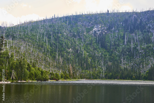 Plesne lake in Sumava national park (Bohemian Forest) in Czech republic photo