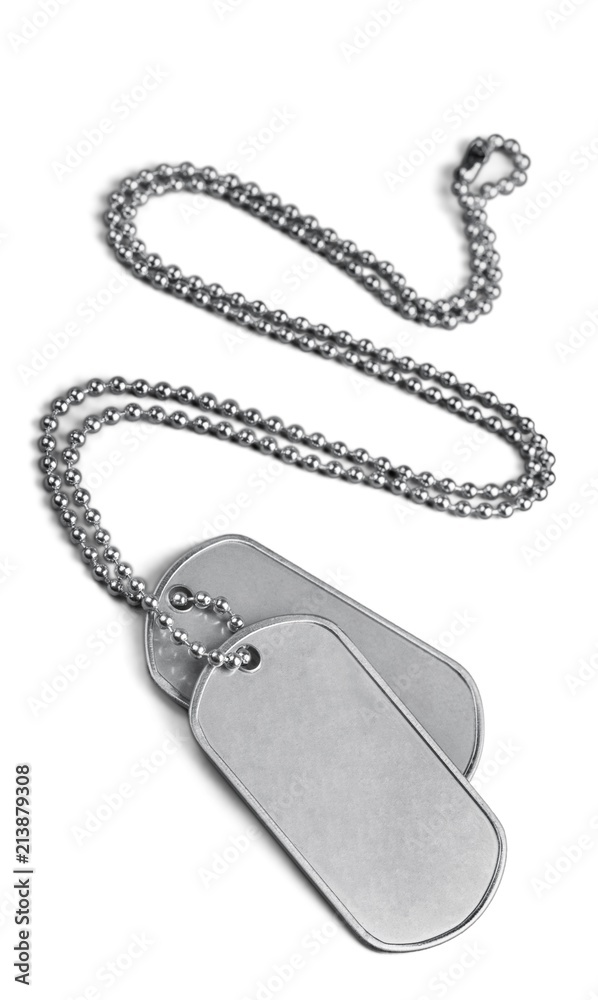 Fototapeta premium Blank Dog Tags