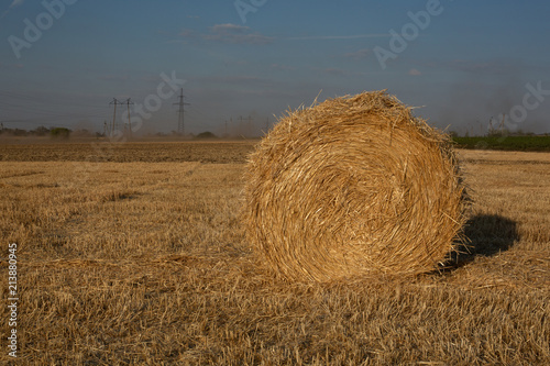 Rural Landscape. Roll of Haystack on the Field. Summer Farm Scenery with Haystack.  Agriculture Concept, Harvest Concept photo