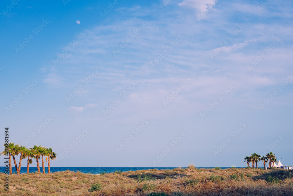 Obraz premium View of the sea from land with beach with palm trees